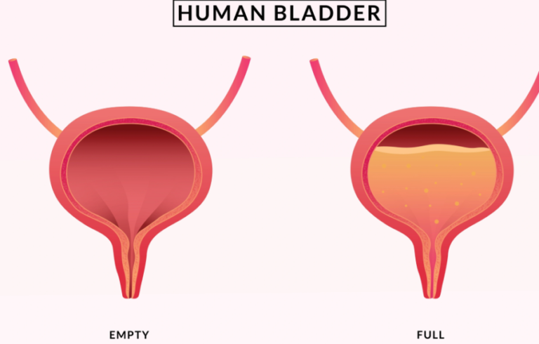 Native Path Bladder Control Review: Your Key to 24-Hour Confidence