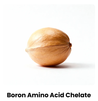 Vapofil Supplement Review: Unleashing the Power of Natural Male Vitality