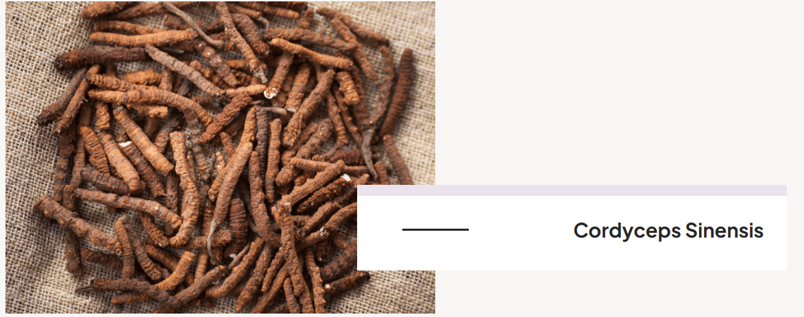 Menovelle Supplement