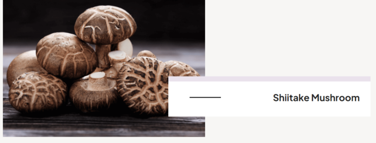 Menovelle Review: Discovering the Natural Solution for a Blissful Menopause