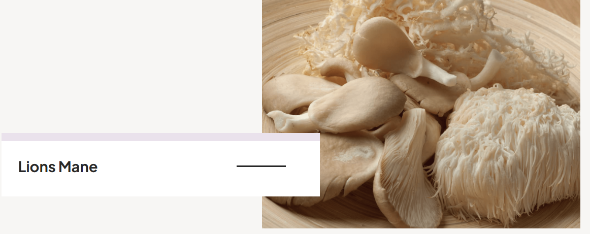 Menovelle Pros and Cons