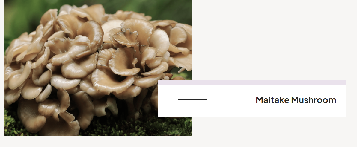 Menovelle Ingredients