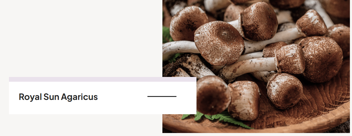 Menovelle Ingredients